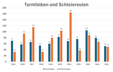 Turmfalken und Schleiereulen Statistik 2025
